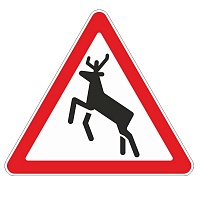 1.27 Дикие животные